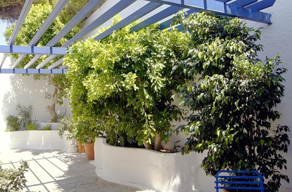 Idroussa Apartment Batsi  Bagian luar foto