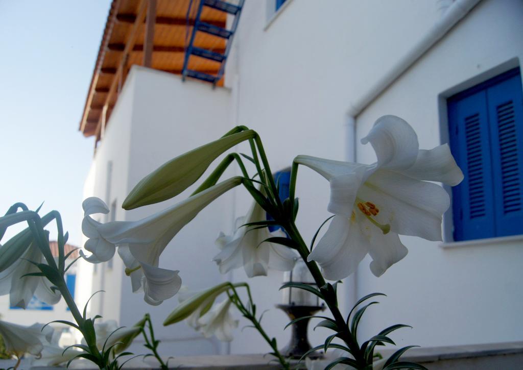 Idroussa Apartment Batsi  Bagian luar foto